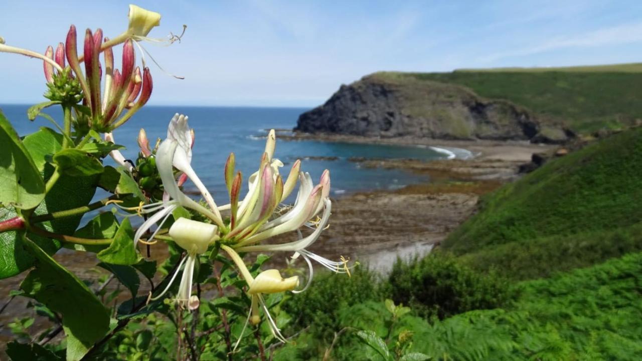 Chalet 18 Widemouth Bay Holiday Village Bude Bagian luar foto