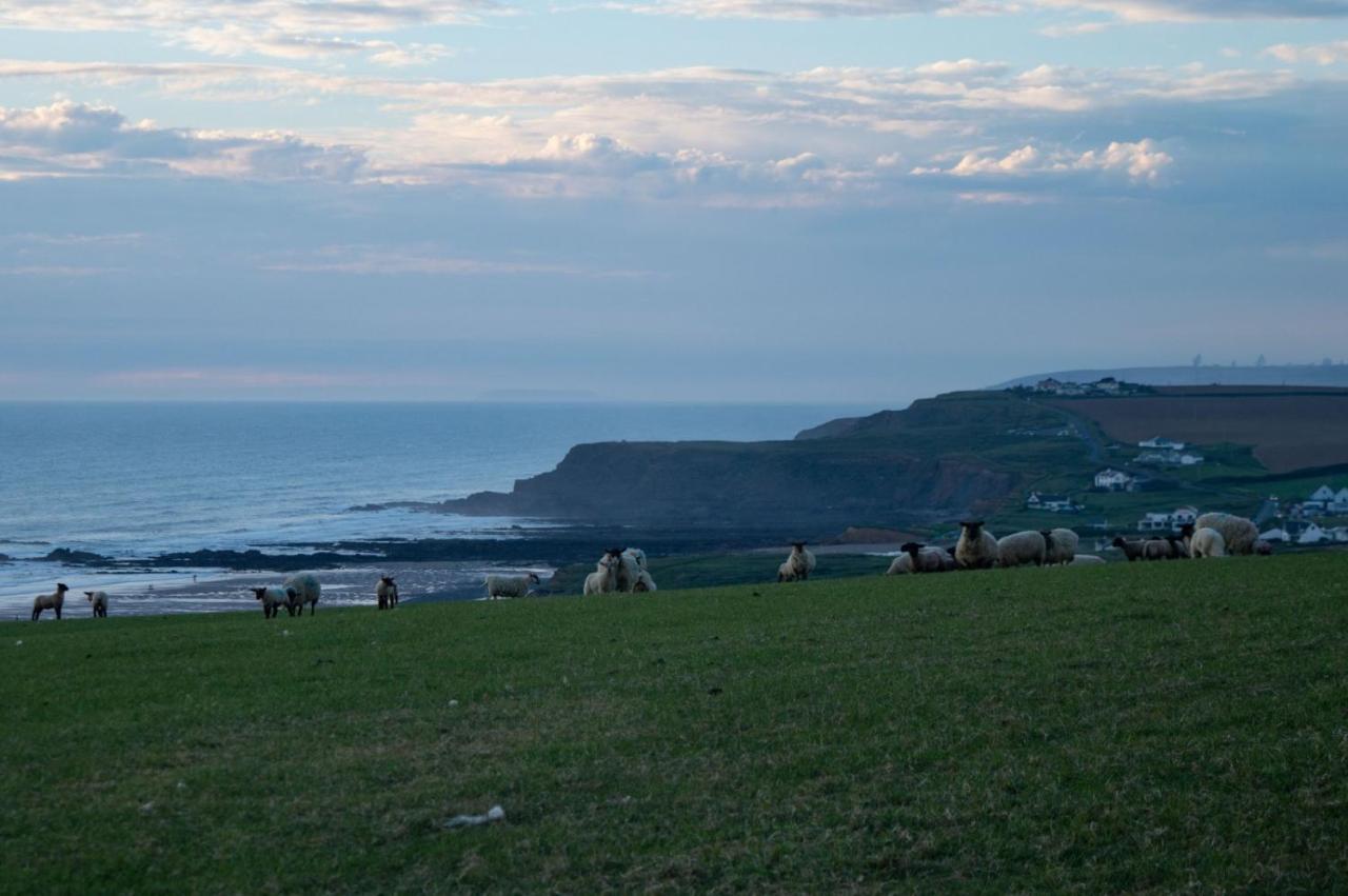 Chalet 18 Widemouth Bay Holiday Village Bude Bagian luar foto
